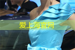 上海花千坊：上海会所：享受私密派对的奇妙体验，与顶级品牌代表共度美好夜晚