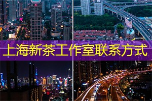 即将诞生！上海独角兽企业研制全球首辆太阳能飞行汽车！