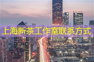 爱上海：在这里举办的音乐会和花灯展