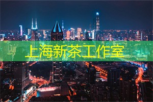 乘坐夜游船，领略上海河畔之美